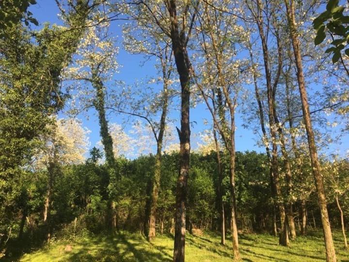 Martv'Elle Boutique Guesthouse Martvili Dış mekan fotoğraf