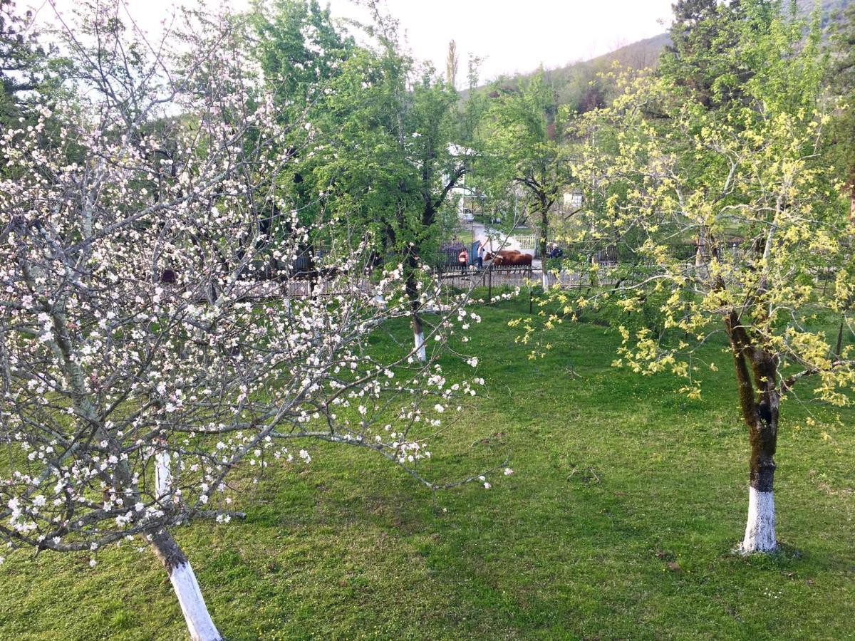 Martv'Elle Boutique Guesthouse Martvili Dış mekan fotoğraf