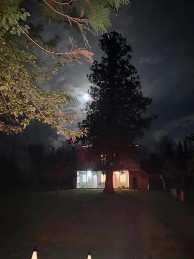 Martv'Elle Boutique Guesthouse Martvili Dış mekan fotoğraf