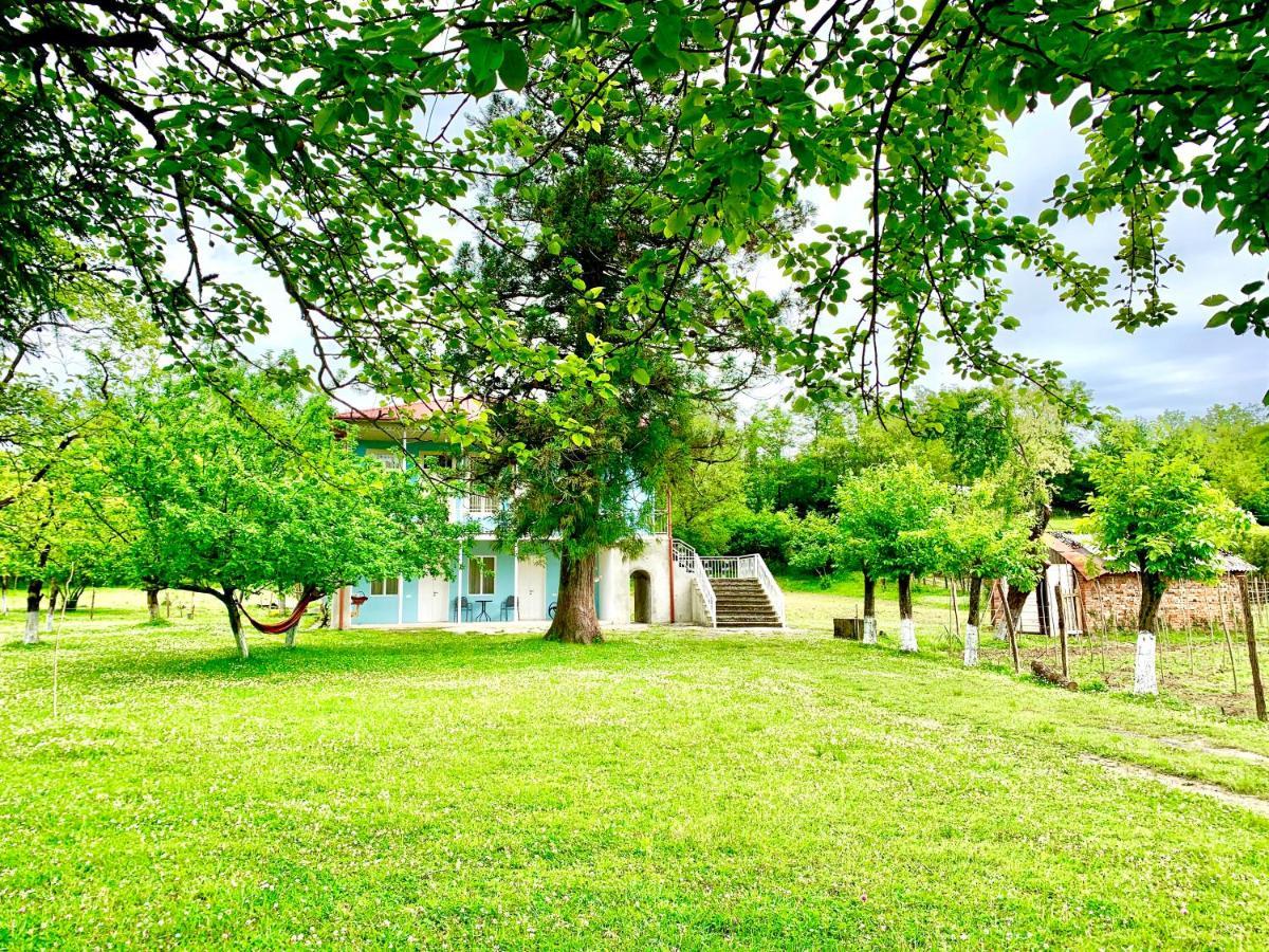 Martv'Elle Boutique Guesthouse Martvili Dış mekan fotoğraf