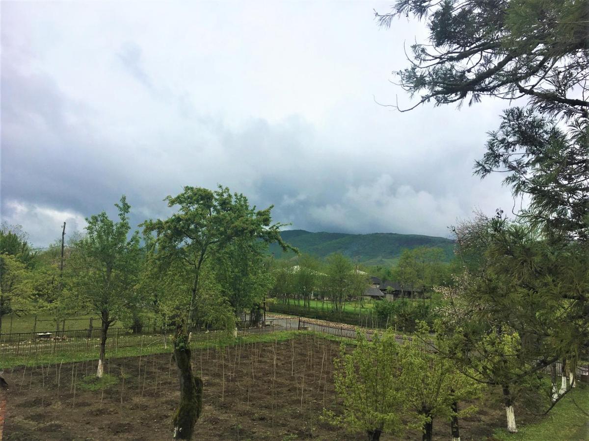 Martv'Elle Boutique Guesthouse Martvili Dış mekan fotoğraf