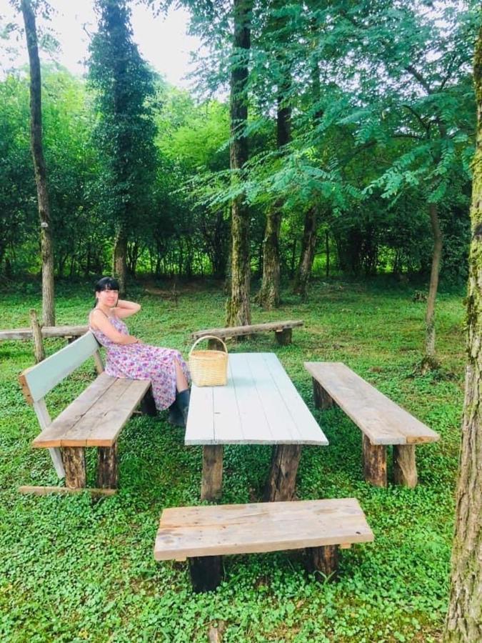 Martv'Elle Boutique Guesthouse Martvili Dış mekan fotoğraf