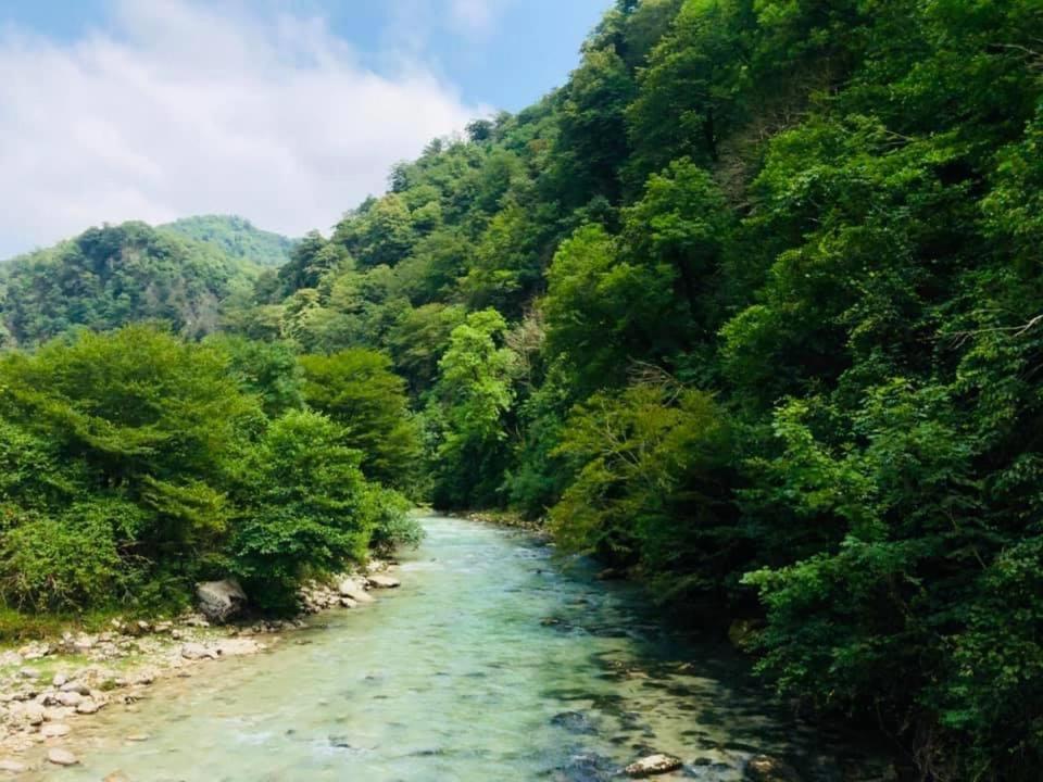 Martv'Elle Boutique Guesthouse Martvili Dış mekan fotoğraf