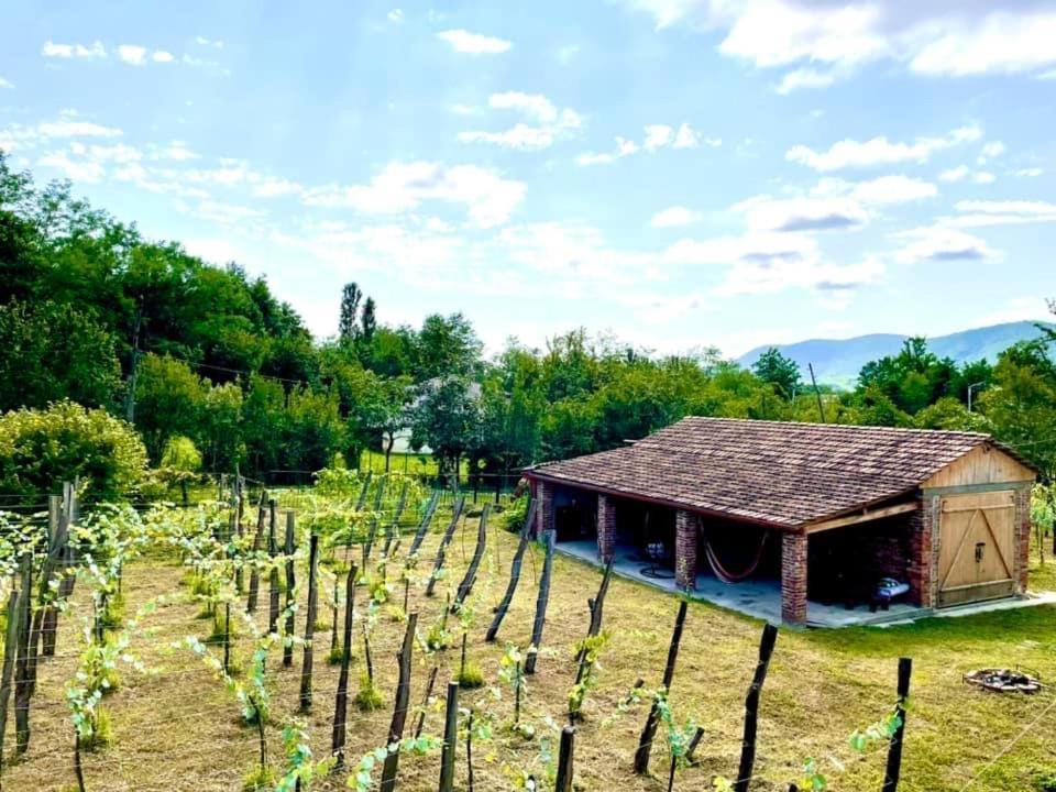 Martv'Elle Boutique Guesthouse Martvili Dış mekan fotoğraf